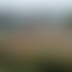 Banbury - Wash Warriors 'Fall into Autumn' 1st - 2nd September 2018