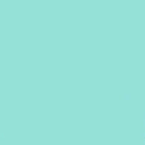 291BD0FC-6287-4A90-A9BF-B39D30AEBA8D.jpeg