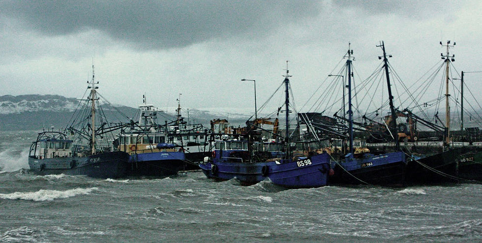 Fishing Boats