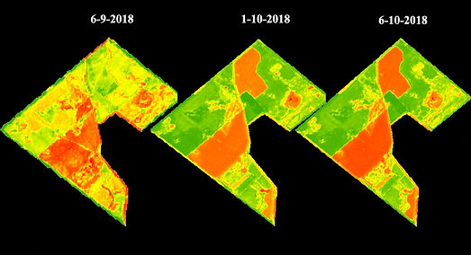 ndvi.jpg
