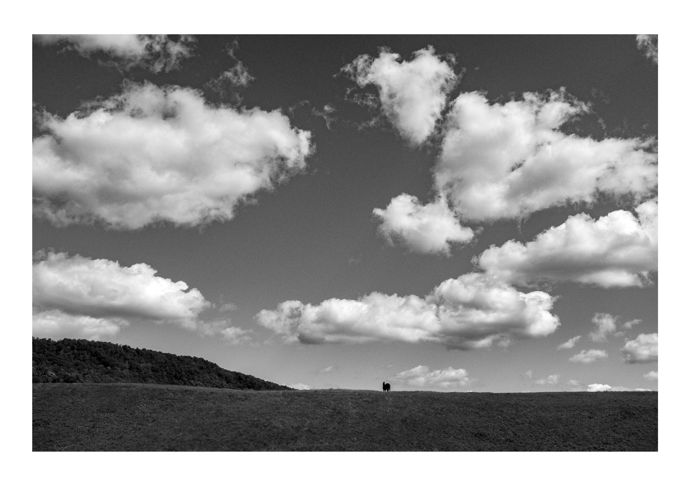 West Brome par/by Michel St-Jean