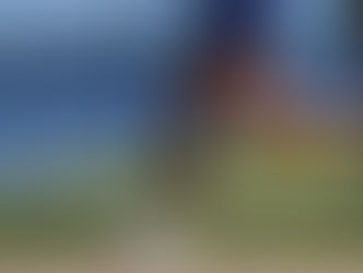 Reframing Overuse Injuries: The Importance of Load Architecture in Athletic Training