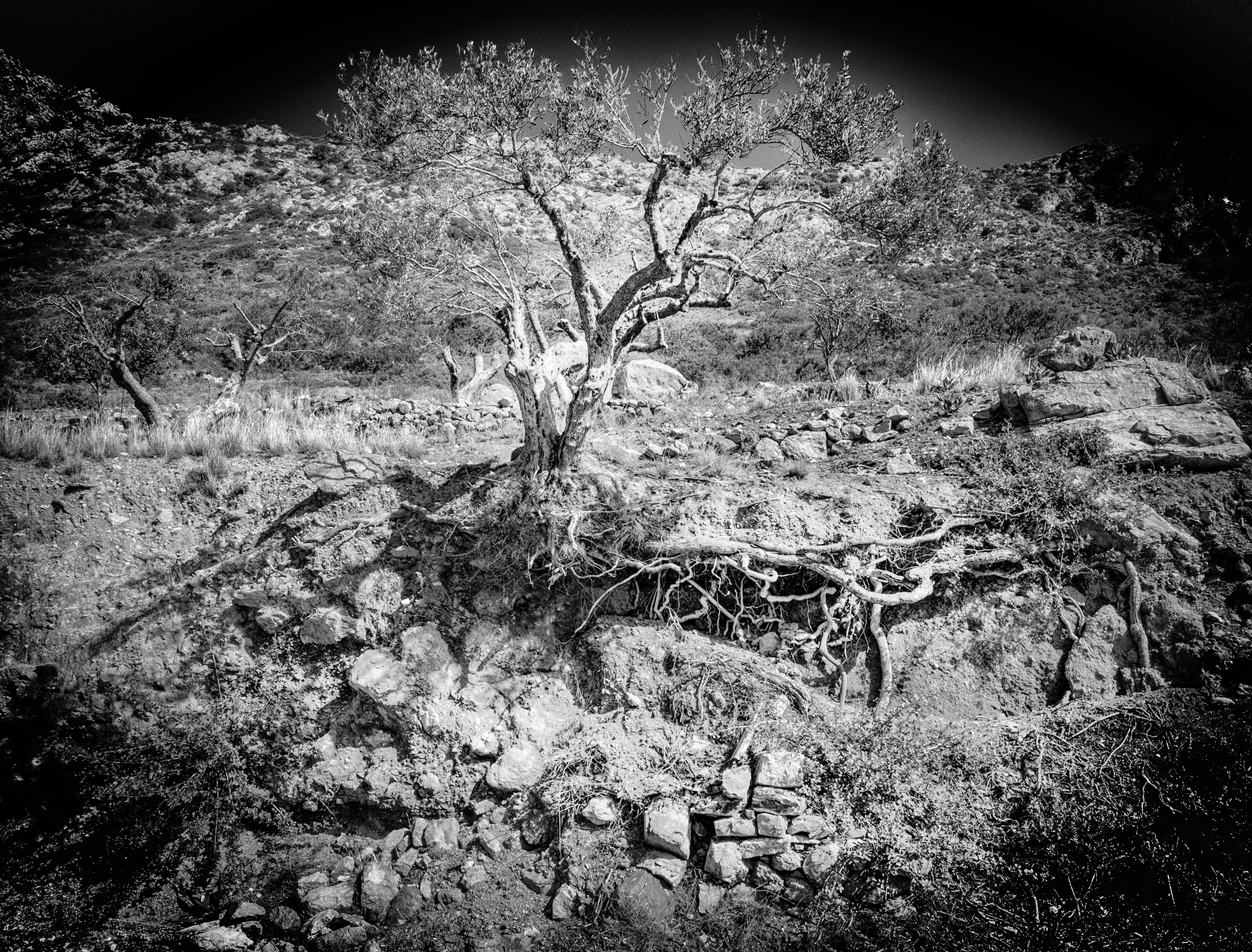 What Lies Beneath