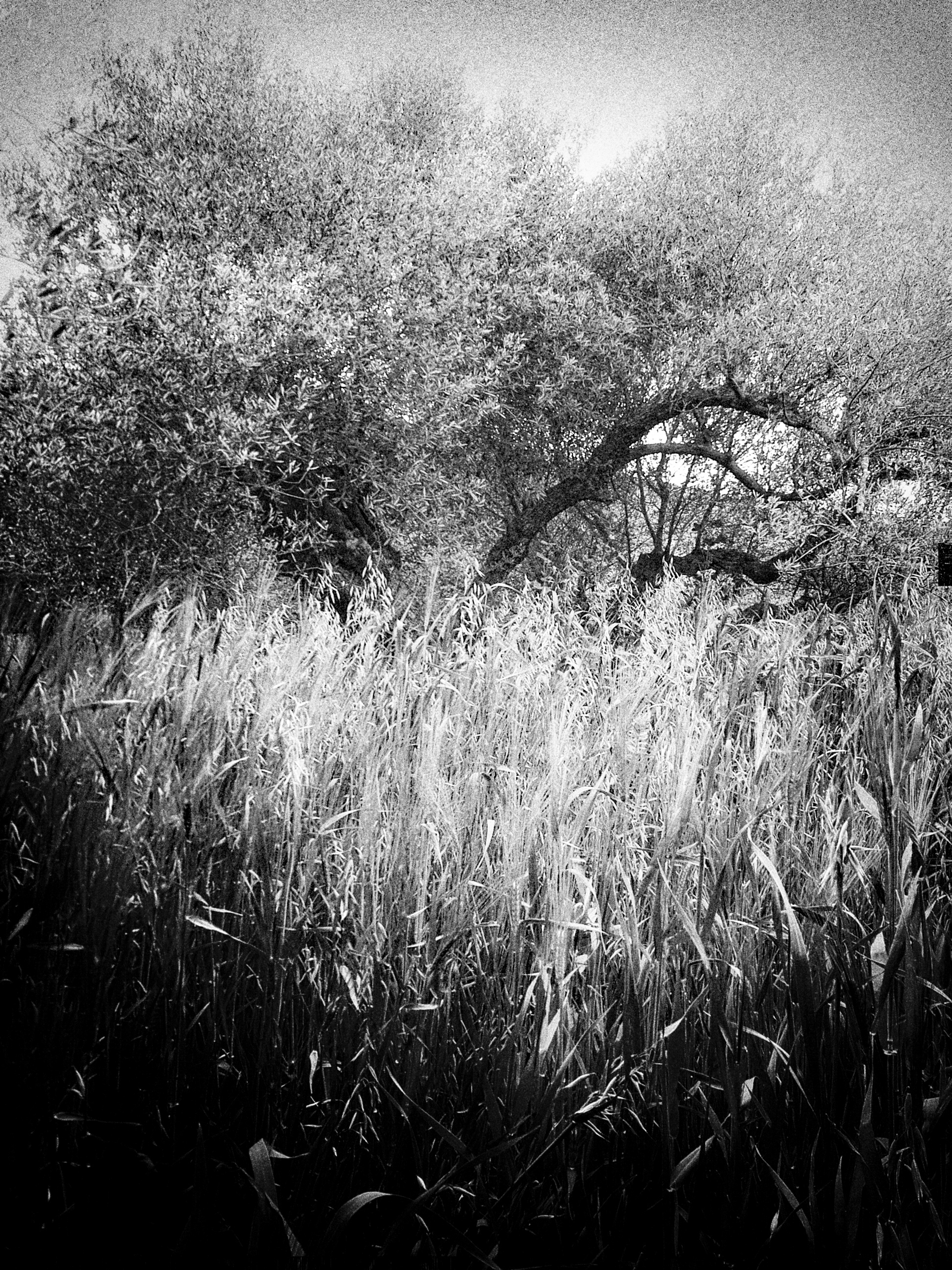 Claustrophobia-2