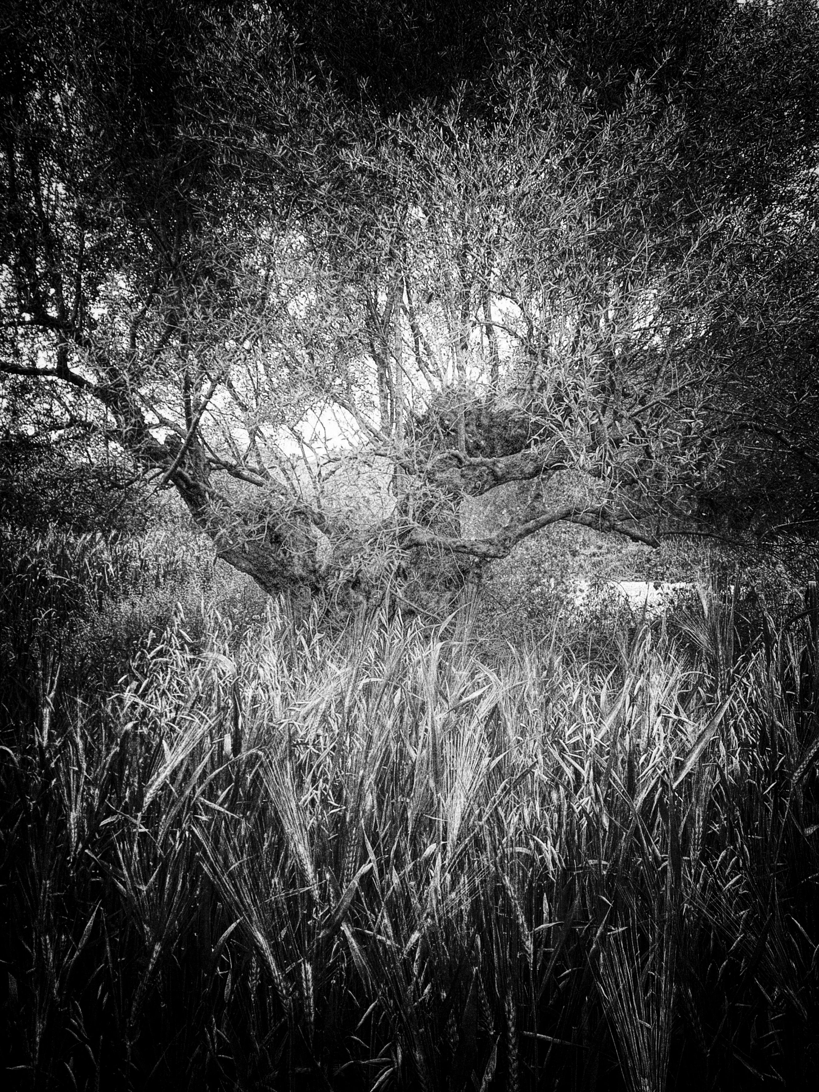 Claustrophobia-1