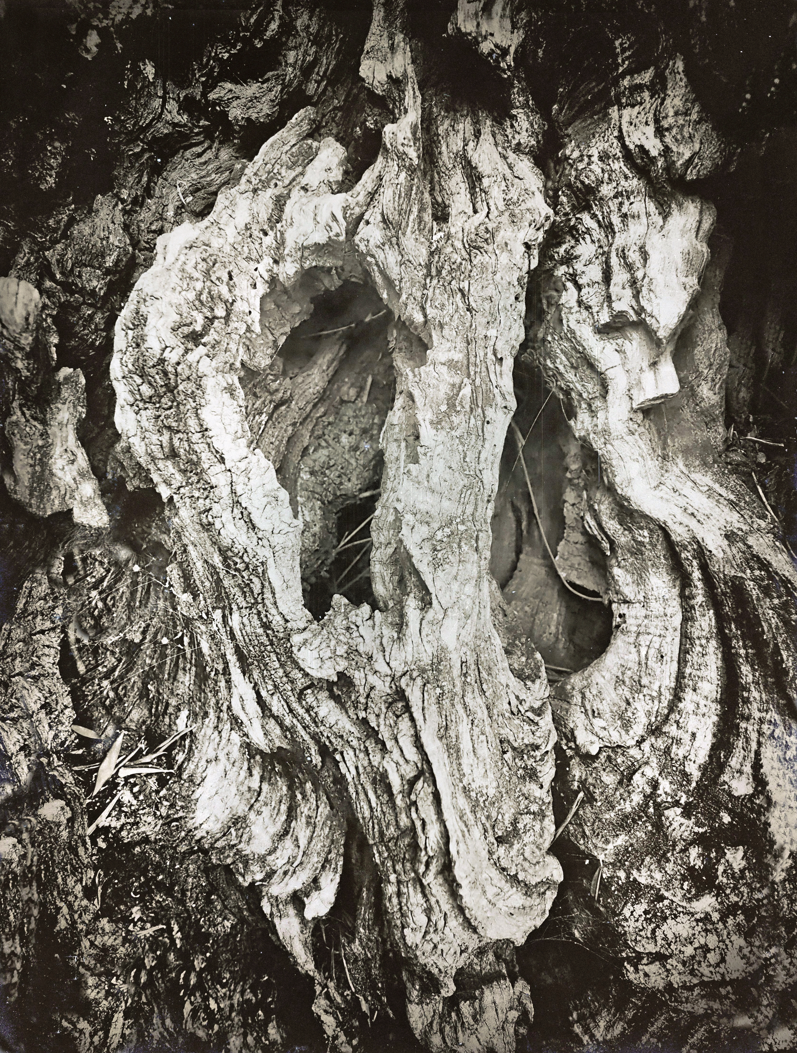 Sight Unseen
