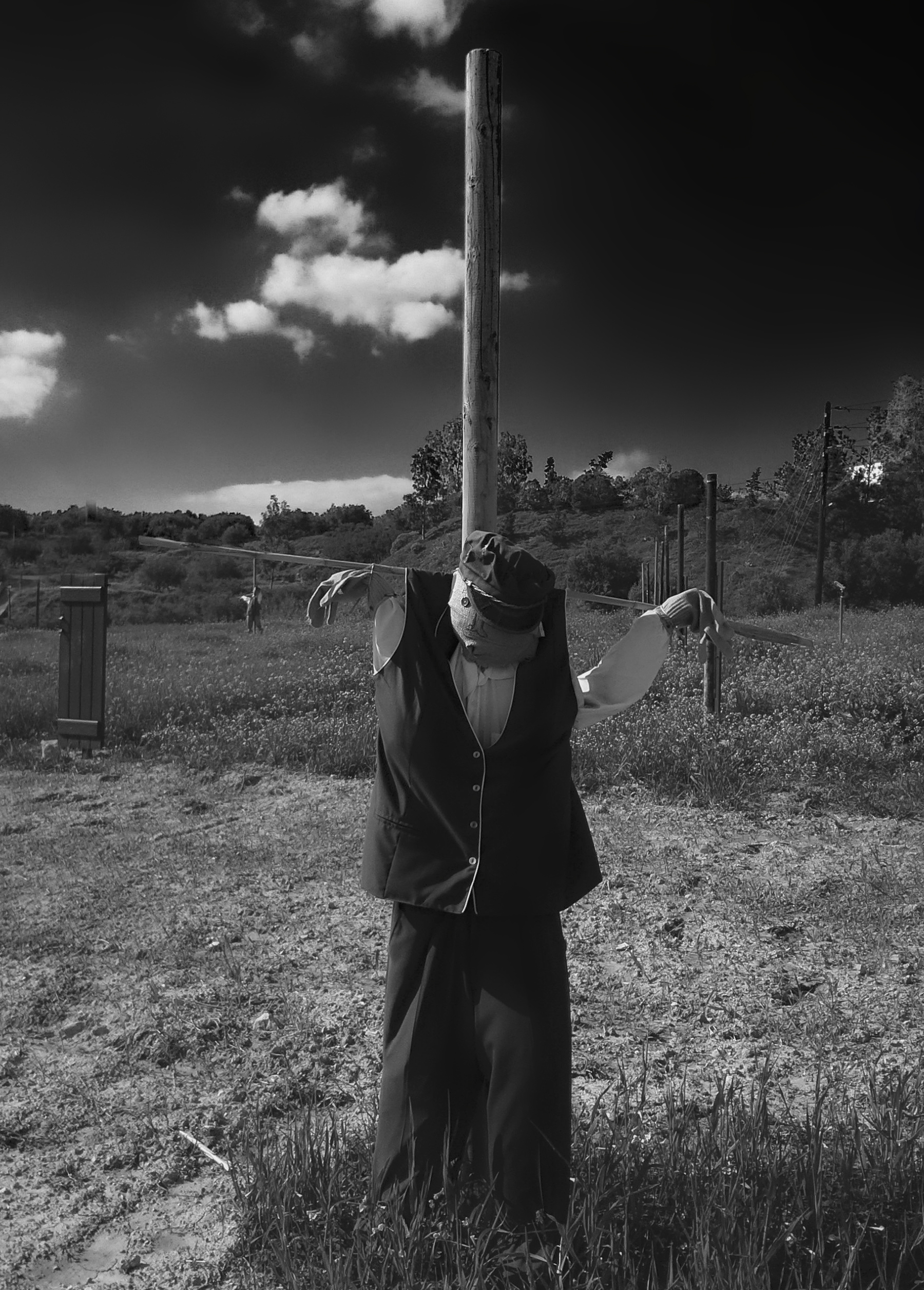 Shaming the Scarecrow