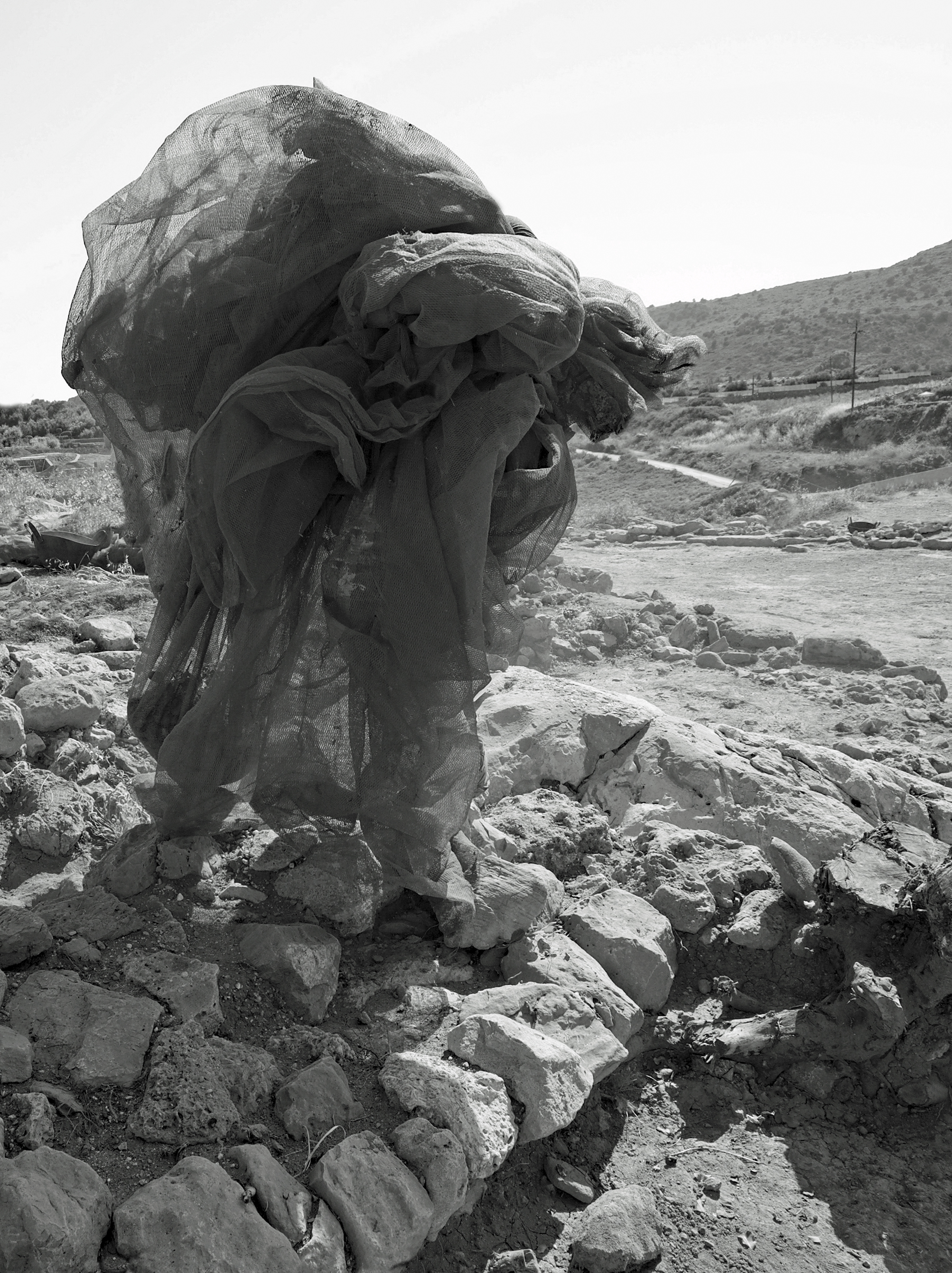 In a Shroud of Passing Thoughts