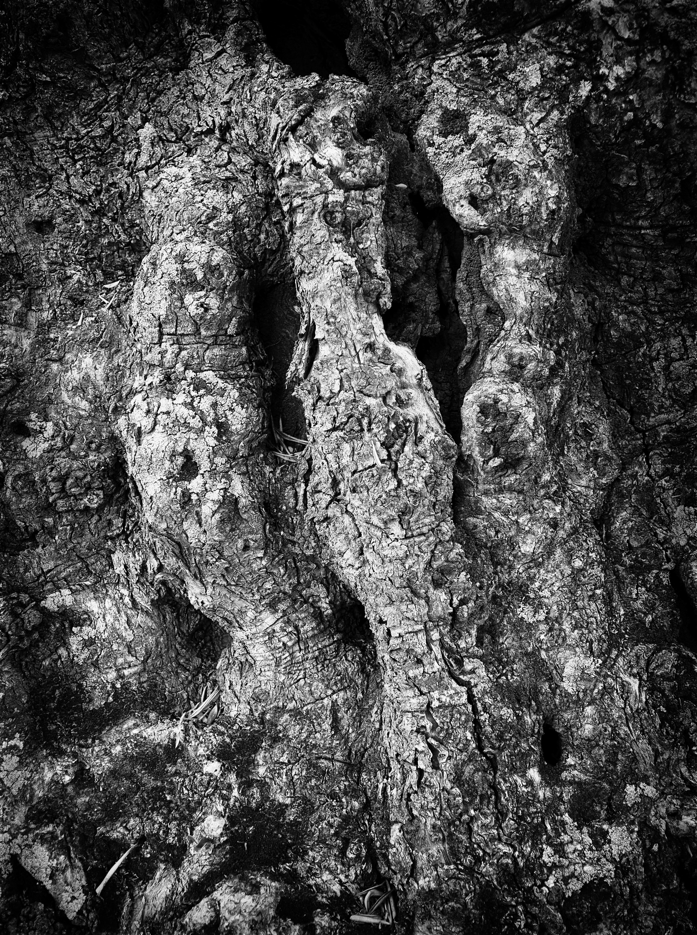 Three Sisters