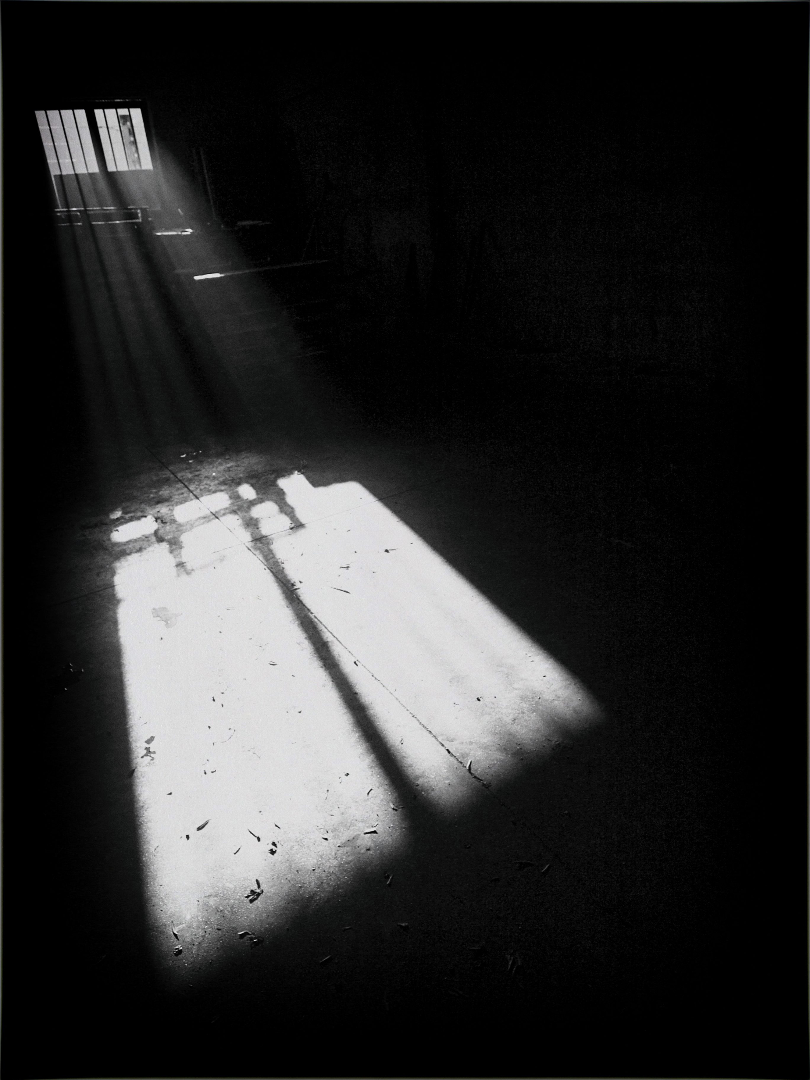 White Light