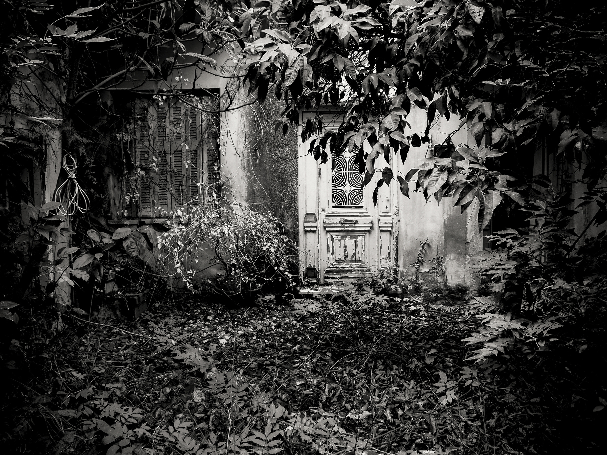 House of Hidden Memories