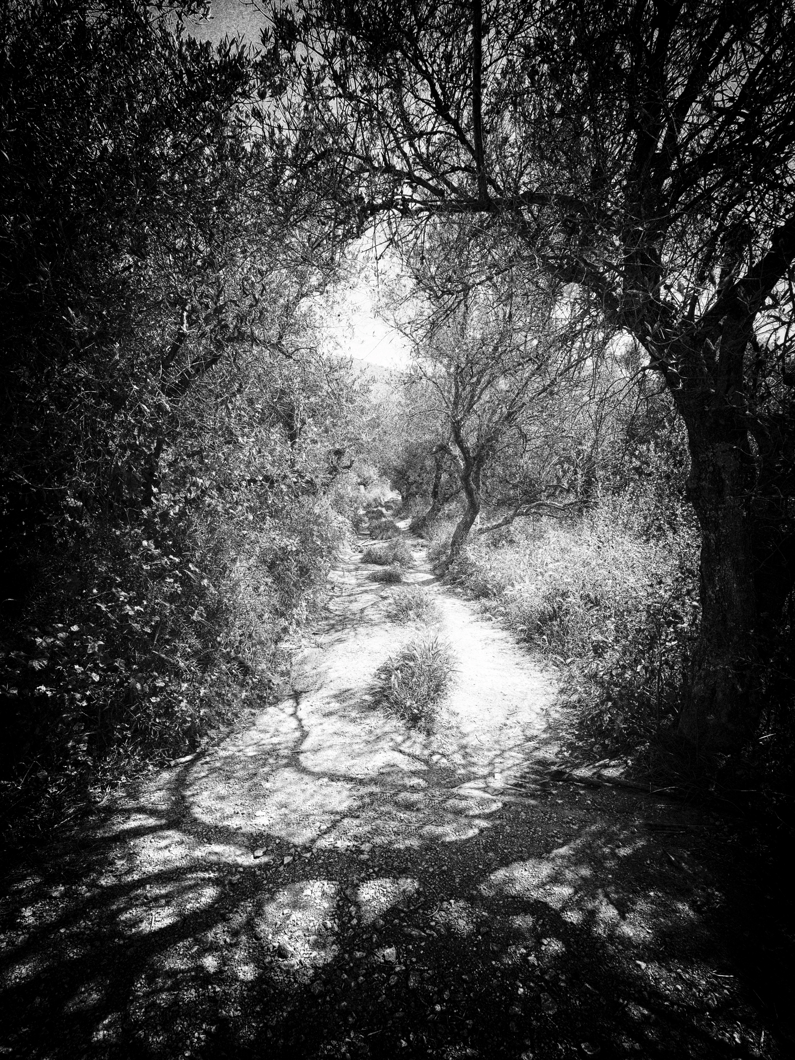 A Pathway Away