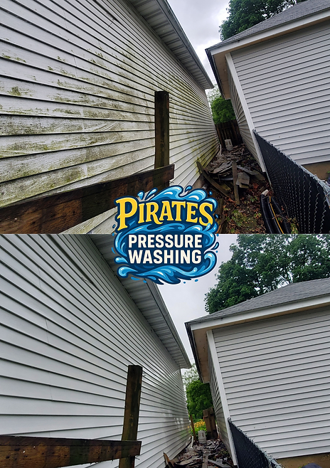 Before and after house wash in Savannah GA