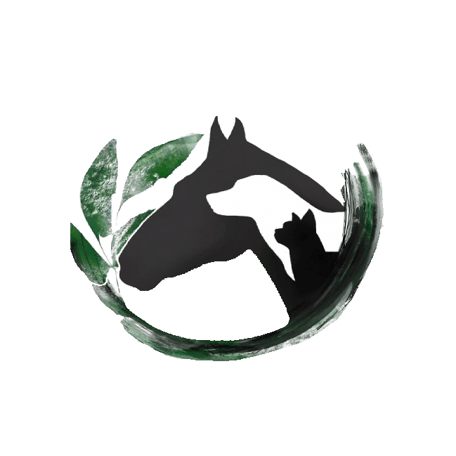 integrative veterinary