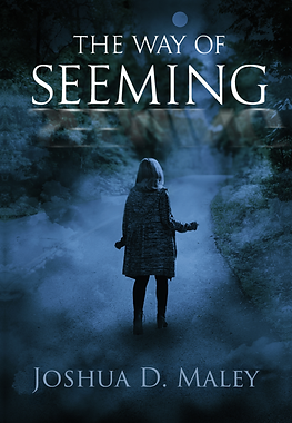Way of Seeming cover copy.png