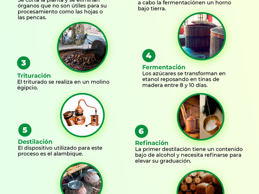 Infografía "Cómo se hace el mezcal"