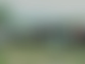 Proyectan aumentar 50% la plantación de maguey mezcalero en Edomex