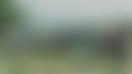 Proyectan aumentar 50% la plantación de maguey mezcalero en Edomex