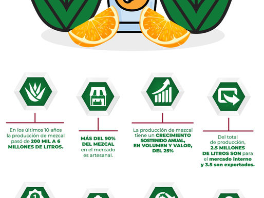 Infografía "8 datos de la producción de mezcal que deberías conocer"