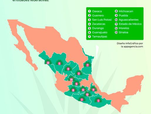 Infografía de los estados con Denominación de Origen Mezcal en México