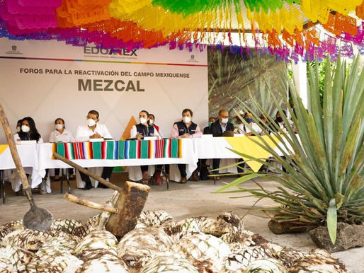 Codo a Codo: IP y Gobierno Mexiquense impulsarán comercialización de mezcal