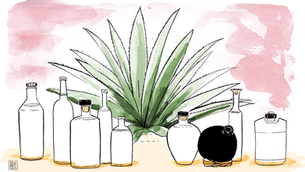 Cinco leyendas claves para identificar un mezcal "honesto"