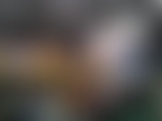 Mi Mezcalito presente en el Agave Fest 2017