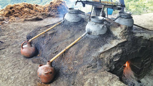 Historiadores revelan que el mezcal inició en Tlaxcala