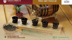 ¿Qué es la Mezcaloterapia? Sus beneficios y dónde tomarla