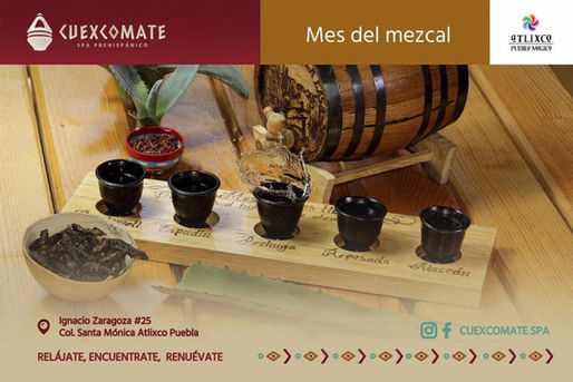 ¿Qué es la Mezcaloterapia? Sus beneficios y dónde tomarla