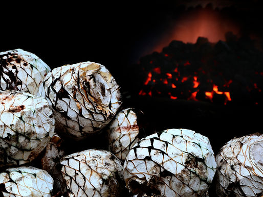Palabra del Mezcalario Nov-Dic 2020