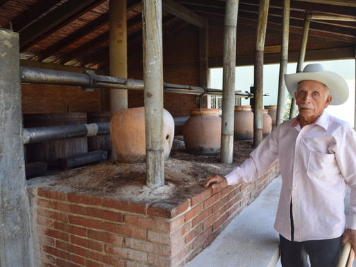 La promoción del mezcal a través del turismo social
