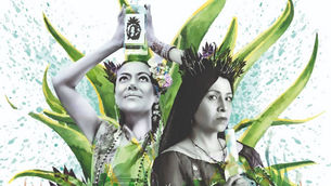 Trabajadoras del agave traspasan barreras