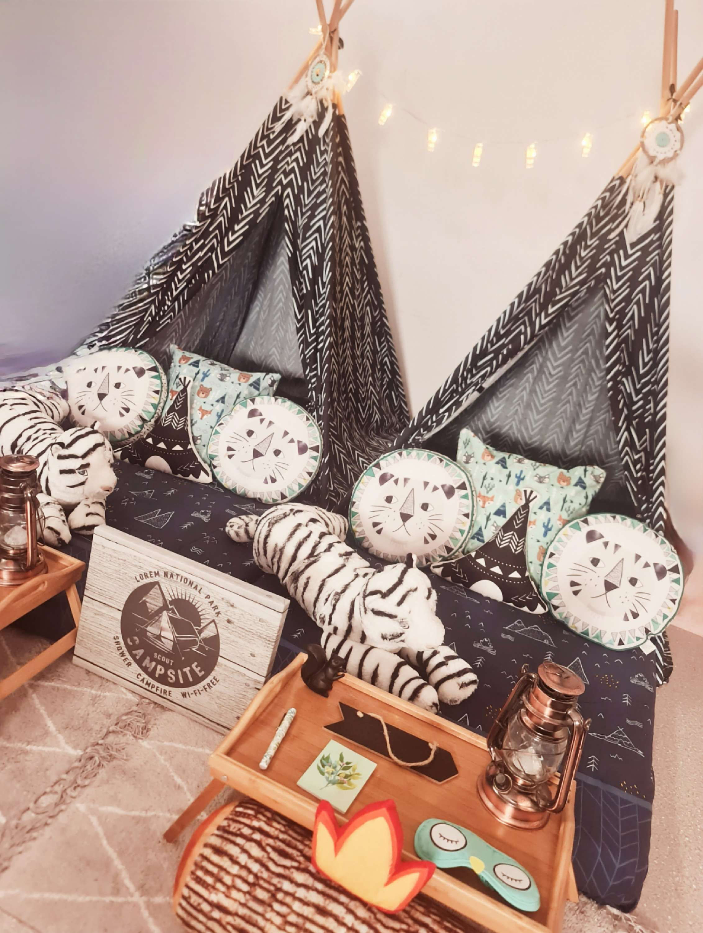 Sleepover Party/ Camp Out