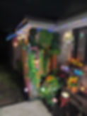 20250207_195528.jpg