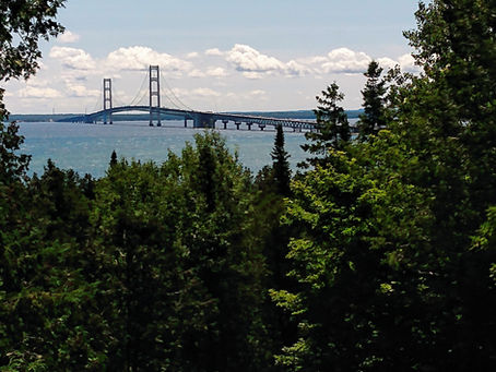 Build a Bridge
