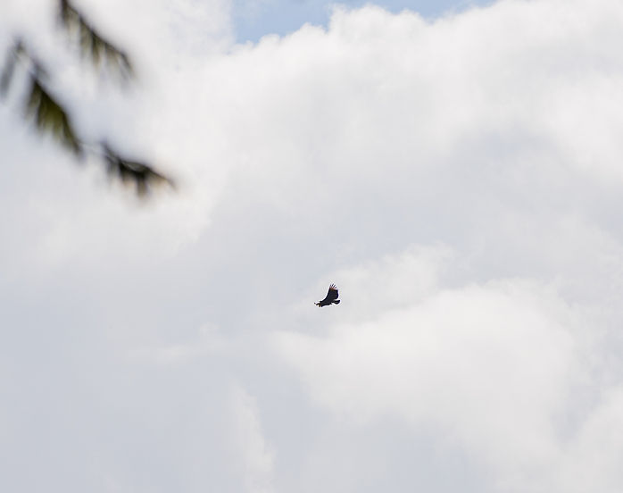 Foto 17-09-2025, 10 38 58_edited.jpg