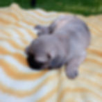 Růženčin první den doma