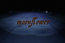 Moonflower Film Title