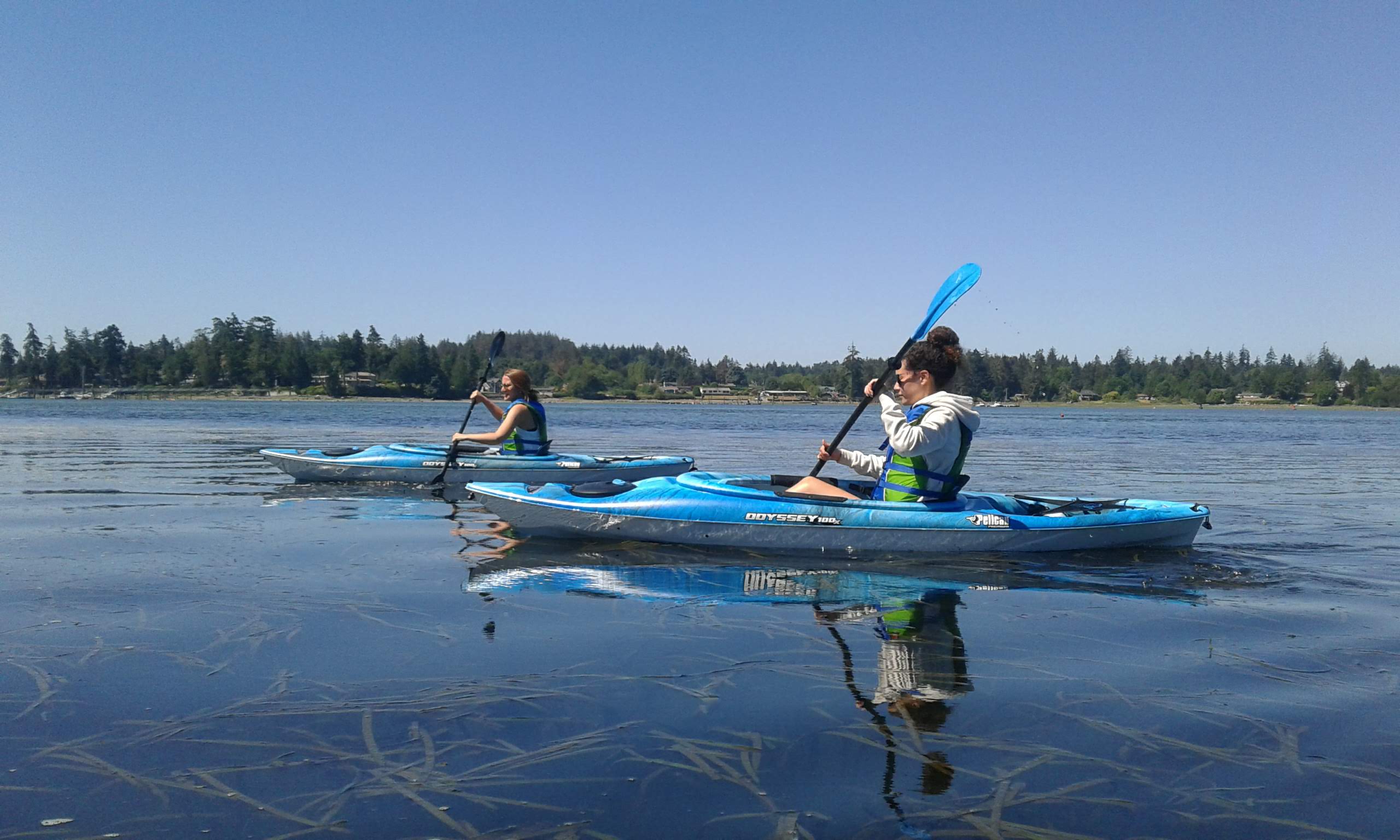 Sooke Basin