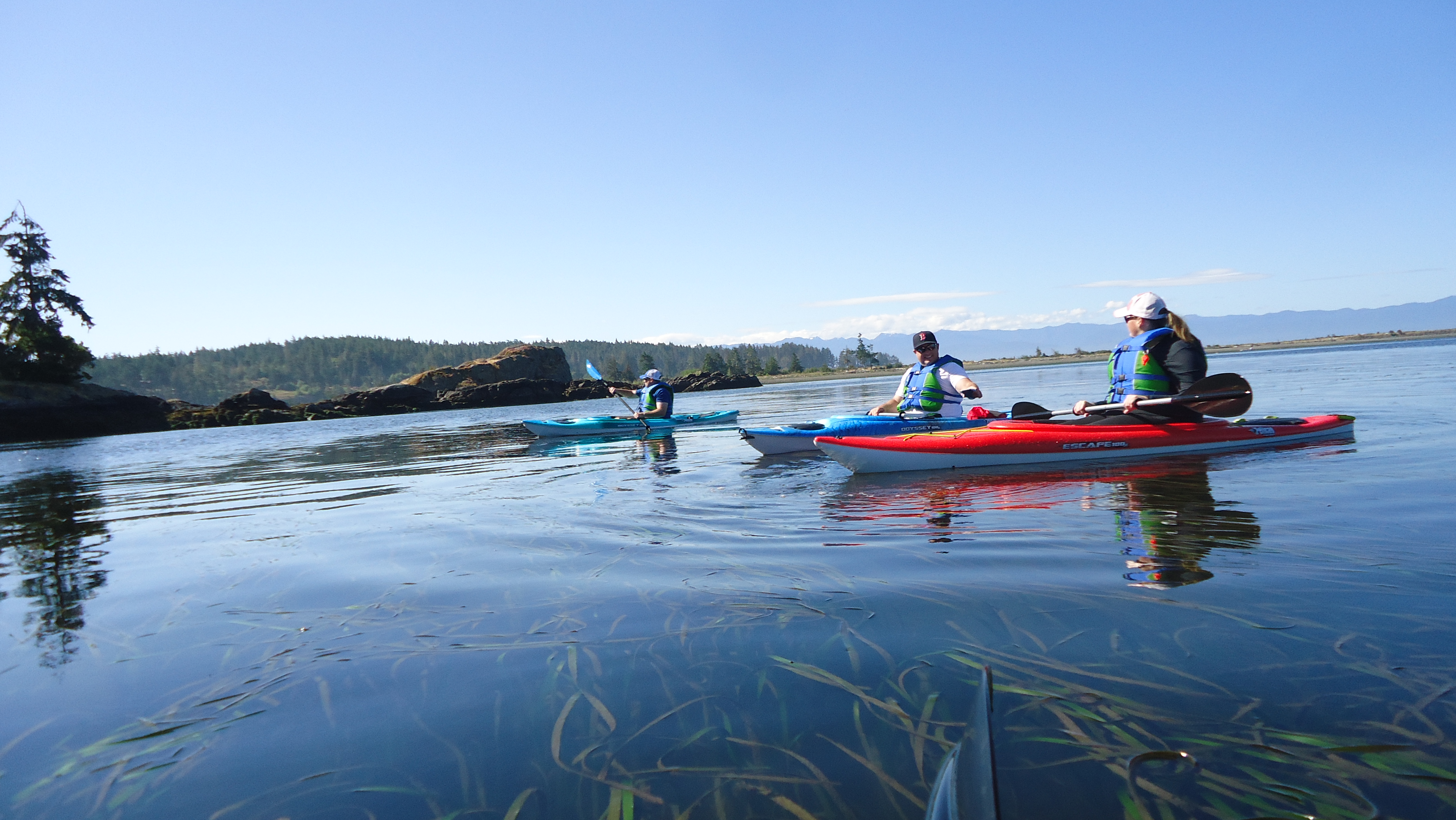 Sooke Harbour