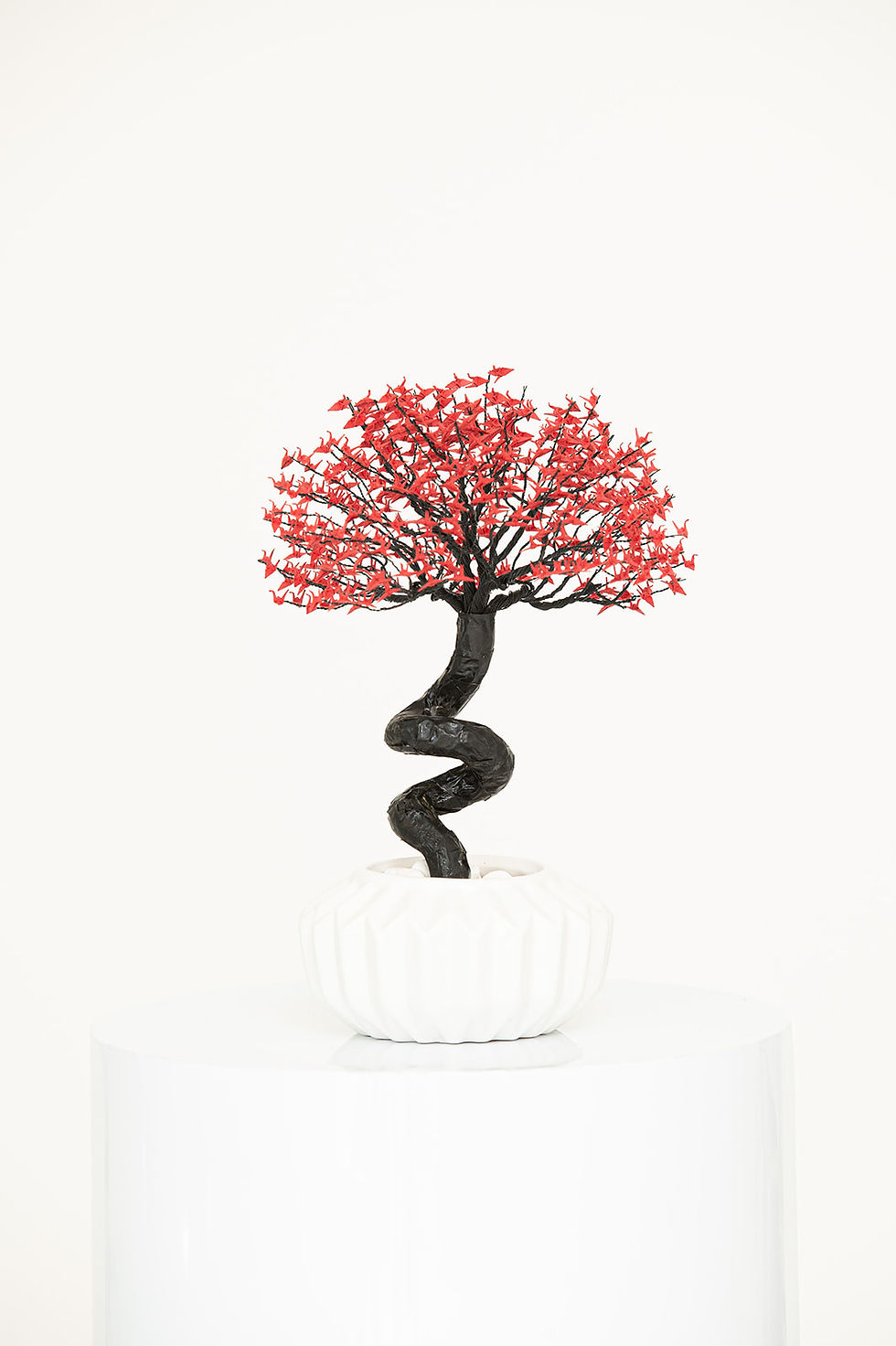 Thumbnail: Bonsai Tree 500