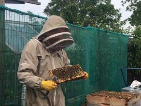 Association Honey For Sale