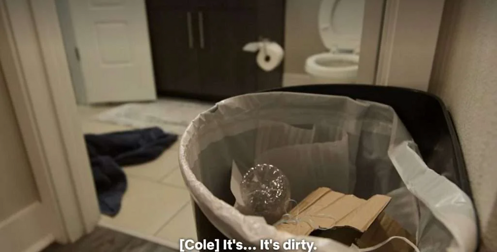 The Apartment Reveal: The Clutterless Company's Important Decluttering and organizing tips Inspired by Netflix's Love is Blind.