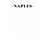 Naples Best Price Team logo — luxury home selling and strategic real estate marketing in Naples