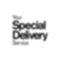YSDS-logo-white-background.png