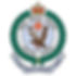 NSW Police Force
