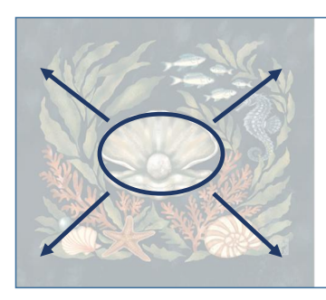 Hand-drawn underwater composition centered on a shell and pearl with surrounding marine elements