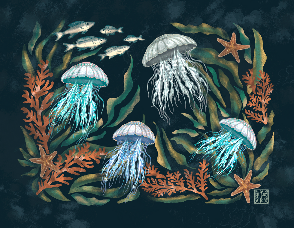 Hand-drawn underwater illustration with jellyfish, sea flora, and delicate marine details