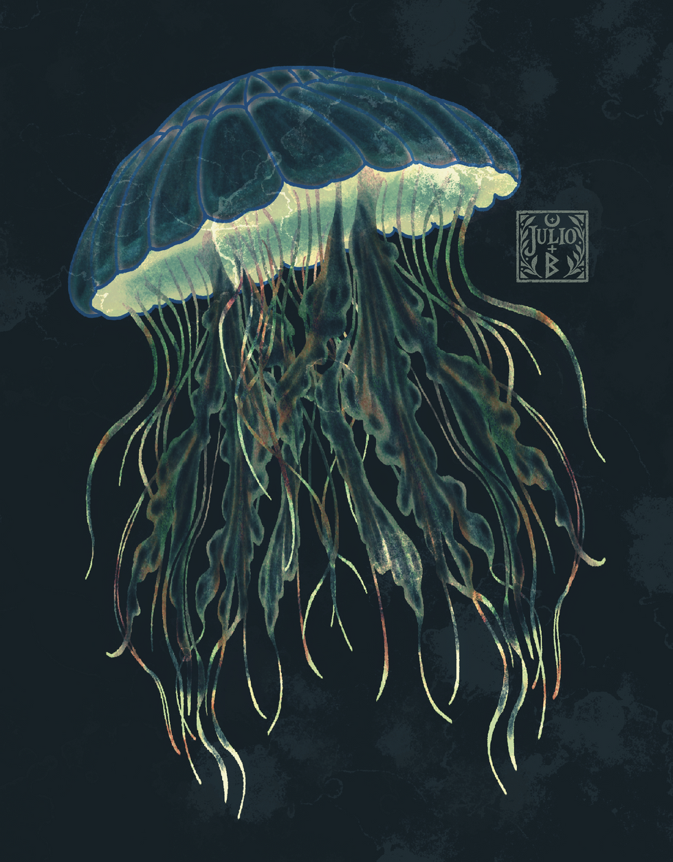 Hand-drawn jellyfish illustration inspired by marine life